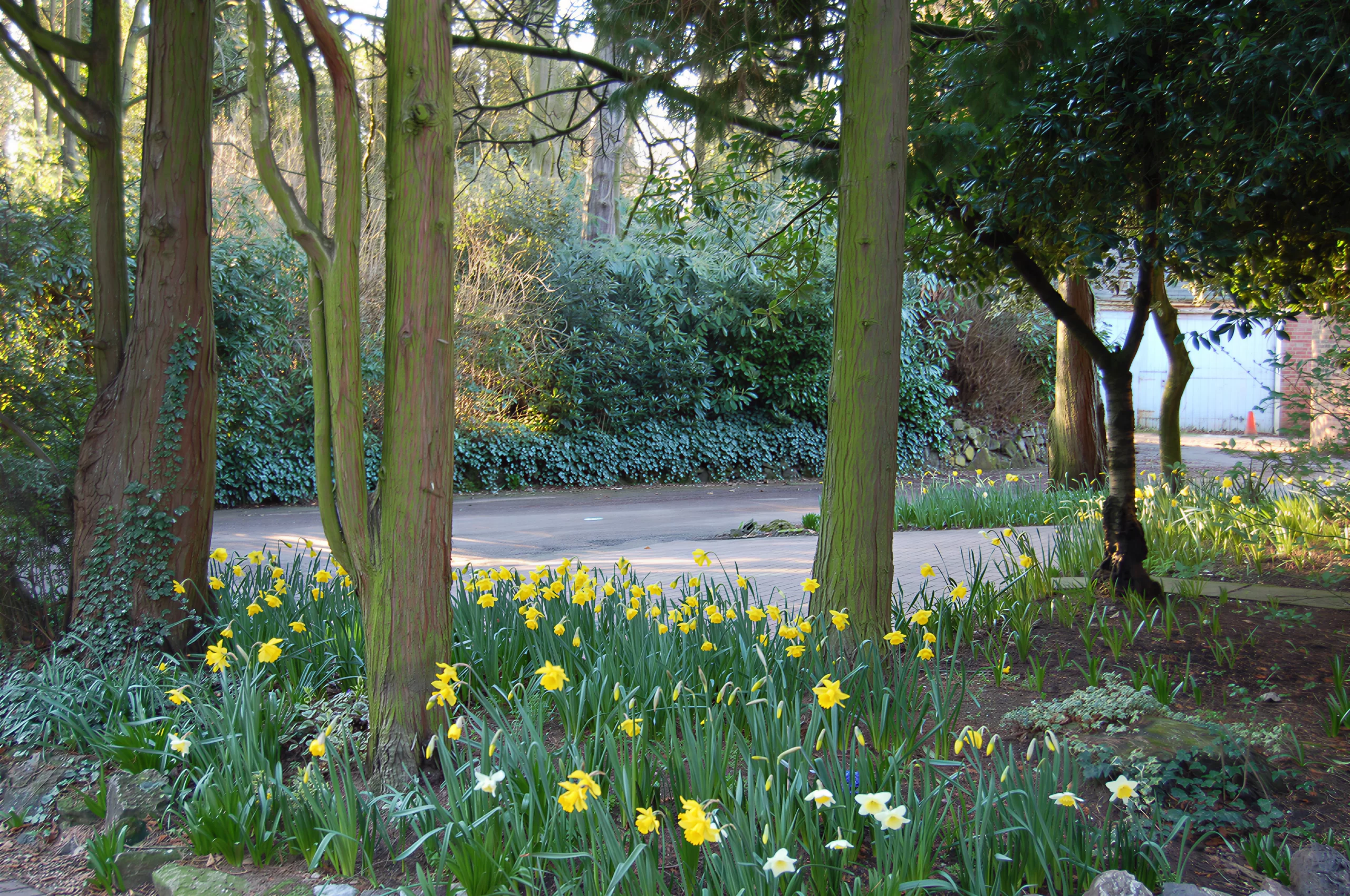 Flowers at Aldridge Court Nursing Home